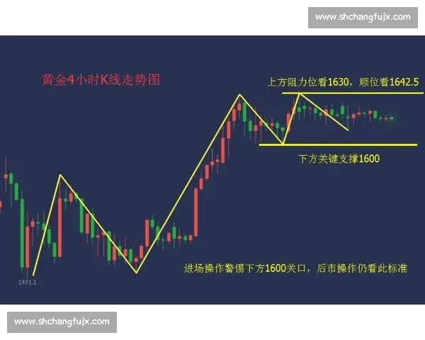 托姆斯克对阵库班的战术对决与胜负关键全景深度解析 托姆斯克对阵库班的战术对决与胜负关键全景深度解析