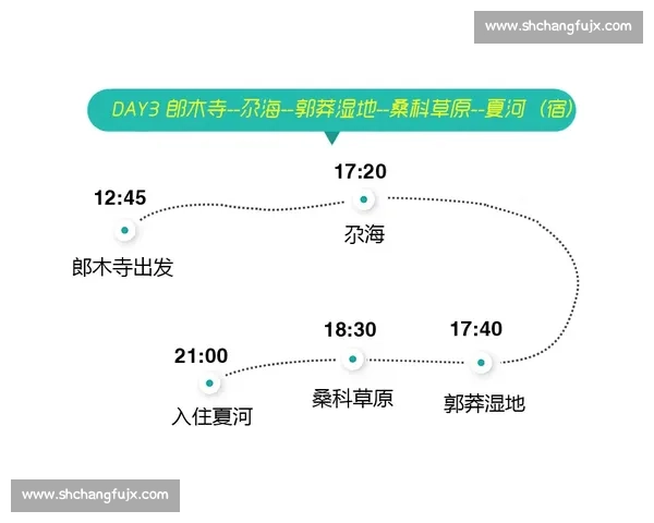 松达尔对阵布兰赛前全景解析与胜负走势及战术看点深度观察
